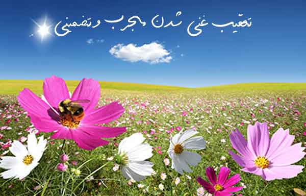 23726329632973 ادعيه و اذكار رزق و روزی 