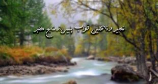 28362079263-310x165 تعبیر خواب 