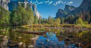 2836273696273670-310x165 تعبیر خواب 