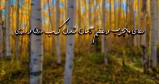 283672629363727-310x165 دعا و ختم مجرب رزق و روزی 
