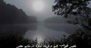 23860739607936290-310x165 تعبیر خواب 