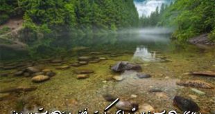 23786037903976027-310x165 دعا و ختم مجرب رزق و روزی 