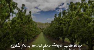 7826392063792063907-310x165 دعا و ختم مجرب 