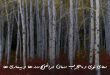 07283609360279367-110x75 دعا و ختم مجرب شفای بیماری 