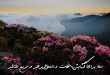 27363027963207973-110x75 بخت گشایی و ازدواج دعا و ختم مجرب 