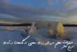 278360783679236207-110x75 ادعيه و اذكار دعا و ختم مجرب 