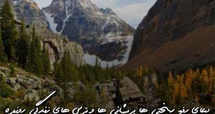 708363706796207-310x165 دعا و ختم مجرب 