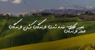 732073803036-310x165 تعبیر خواب 
