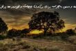 0387803706362079637-110x75 دعا و ختم مجرب 