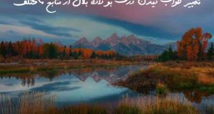 2308708637902367-310x165 تعبیر خواب 