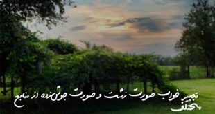 27083503789023602973-310x165 تعبیر خواب 
