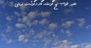 2835078036237028-310x165 تعبیر خواب 