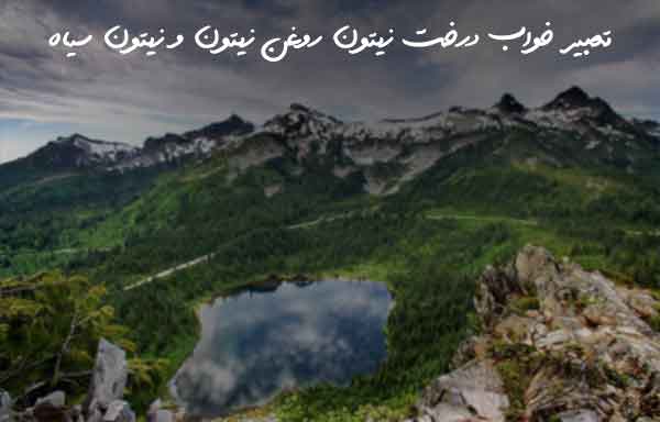 78306370623796702673 تعبیر خواب 