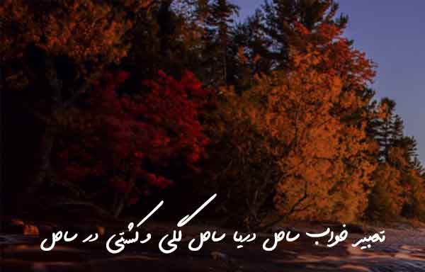 80263207367902639063902673 تعبیر خواب 