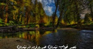 8370873267380267-310x165 تعبیر خواب 