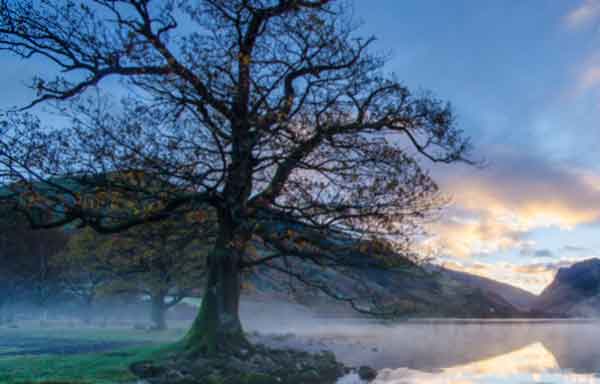 دعای رفع مشکلات اقتصادی و مالی برای کسب روزی بیشتر 0782073802673620937 دعا و ختم مجرب رزق و روزی