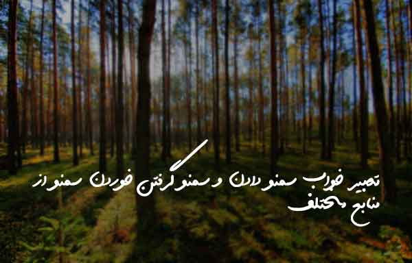 2038538602730322607 تعبیر خواب 