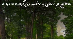 23603876027367093-310x165 دعا و ختم مجرب 