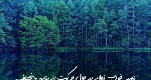 02638063702863703-310x165 تعبیر خواب 