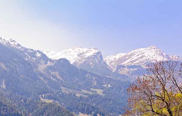 027380268360736026873 تعبیر خواب 
