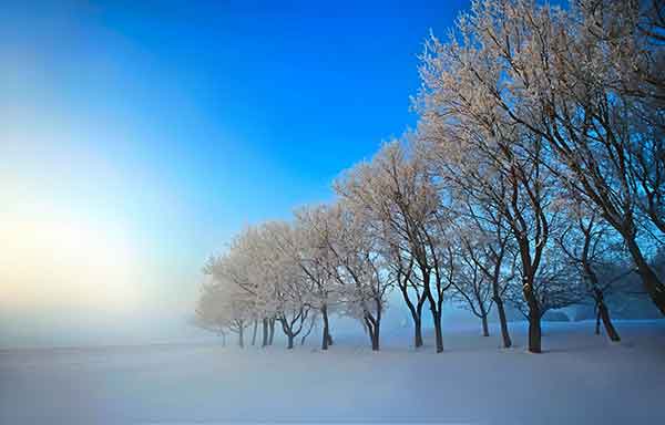 دعای مجرب و عظیم برای حرف شنوی و سر به راه شدن فرزندان   073602630236206320 دعا و ختم مجرب