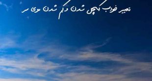 02368360876027862803-310x165 تعبیر خواب 