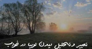028237023203806-310x165 تعبیر خواب 