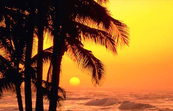 دعای عظیم اسلامی برای شفای امراض و در ها تجربه شده 0286378360273620687 دعا و ختم مجرب شفای بیماری