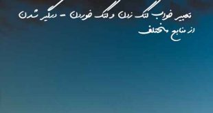 2038602328063023-310x165 تعبیر خواب 