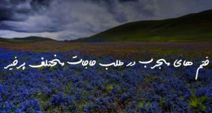 023863078620837-310x165 دعا و ختم مجرب 