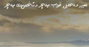02737360273860273-310x165 تعبیر خواب 