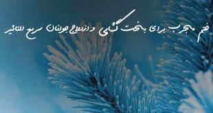 028363023762036807-310x165 بخت گشایی و ازدواج دعا و ختم مجرب 
