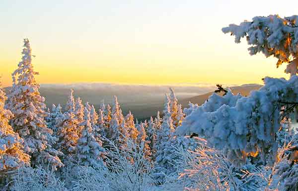 دعای مجرب حفاظت از شر بلا خطرات سختی ها و مشکلات 023087360728673 دعا و ختم مجرب