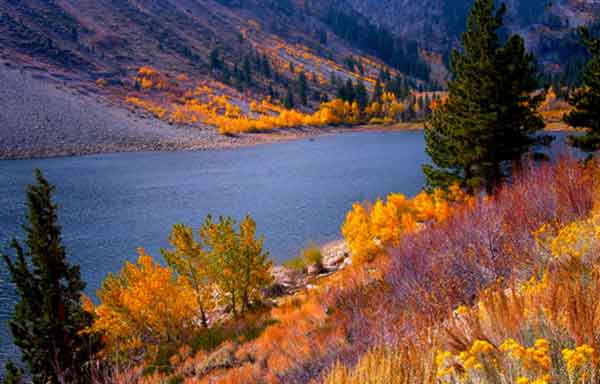 0283678602367380267 باطل السحر و چشم زخم دعا و ختم مجرب 