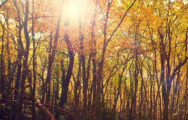 دعا و ختم مجرب طلب رزق و توانگری 0783608367 دعا و ختم مجرب رزق و روزی