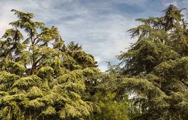 دعای دفع سختی و مشکل - دعای رفع شر 082362703867038627 دعا و ختم مجرب