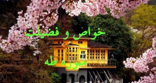 qydkfe1y-1-310x165 خواص و فضیلت سوره طه 