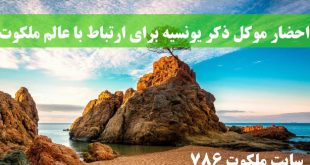 احضار-موکل-ذکر-یونسیه-برای-ارتباط-با-عالم-ملکوت-و-نورانی-شدن-قلب-310x165 احضار جن و موکل و روح ادعيه و اذكار 