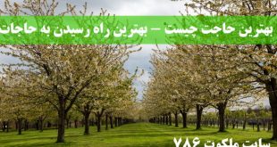 بهترین-حاجت-چیست-بهترین-راه-رسیدن-به-حاجات-چیست-310x165 ادعيه و اذكار دعا و ختم مجرب دعای حاجت روایی 