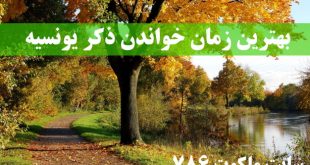 بهترین-زمان-خواندن-ذکر-یونسیه-تعداد-گفتن-ذکر-یونسیه-310x165 ادعيه و اذكار 