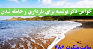 خواص-ذکر-یونسیه-برای-بارداری-تاثیر-ذکر-یونسیه-برای-حامله-شدن-310x165 ادعيه و اذكار دعا دعای بچه دار شدن دعای حاجت روایی 