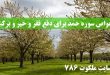 -سوره-حمد-برای-دفع-فقر-و-خیر-و-برکت-در-زندگی-110x75 ادعيه و اذكار دعا دعای گشایش کار 