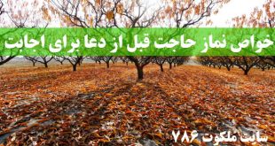 خواص-نماز-حاجت-قبل-از-دعا-برای-استجابت-دعا-و-گرفتن-حاجت-310x165 ادعيه و اذكار دعا دعای حاجت روایی 