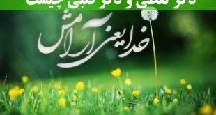 ذکر-لفظی-و-ذکر-قلبی-چیست-معنی-و-مفهوم-ذکر-قلبی-و-ذکر-لفظی-310x165 ادعيه و اذكار 