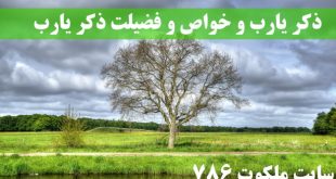 ذکر-یارب-و-خواص-و-فضیلت-ذکر-یارب-ذکر-یارب-در-هنگام-گرفتاری-1-310x165 ادعيه و اذكار 