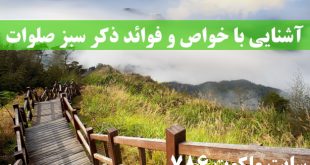 آشنایی-با-خواص-و-فوائد-ذکر-سبز-صلوات-310x165 ادعيه و اذكار 