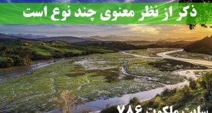 ذکر-از-نظر-معنوی-چند-نوع-است-ذکر-اصغر-و-ذکر-اکبر-چیست-310x165 ادعيه و اذكار 