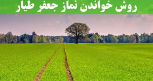 نماز-جعفر-طیار-310x165 ادعيه و اذكار 