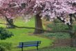 5FD454D9-FBC4-4735-9F08-96247CA692A8-110x75 ادعيه و اذكار دسته‌بندی نشده دعا و ختم مجرب 