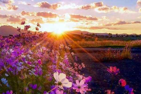 دعا-برای-جلب-شخص-و-ایجاد-محبوبیت مهر و محبت 
